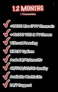 12 months iptv connection